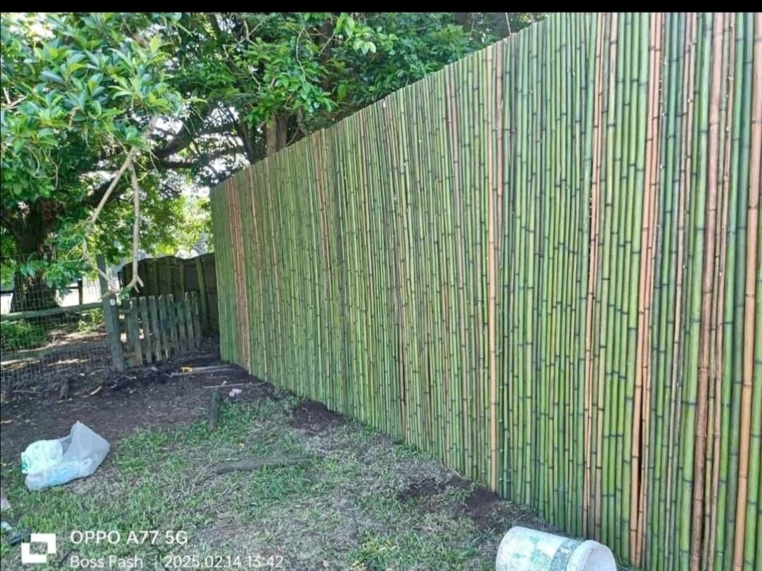 Bamboo privacy screen installation